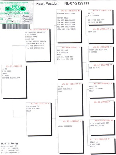 NL 07 2129111 F - Achizitii respectiv - PEDIGREELE PORUMBEILOR ACHIZITIONATI in 2008 - 2012