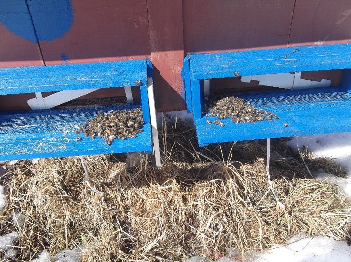 17.03 2012 asta e mortalitatea peste iarna