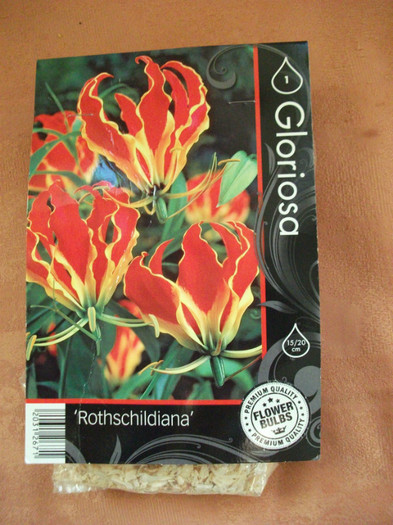 DSCF0821 - flori si legume Germania