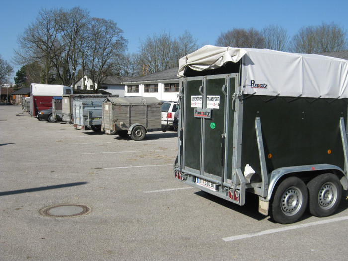 remorci pt-transport oi