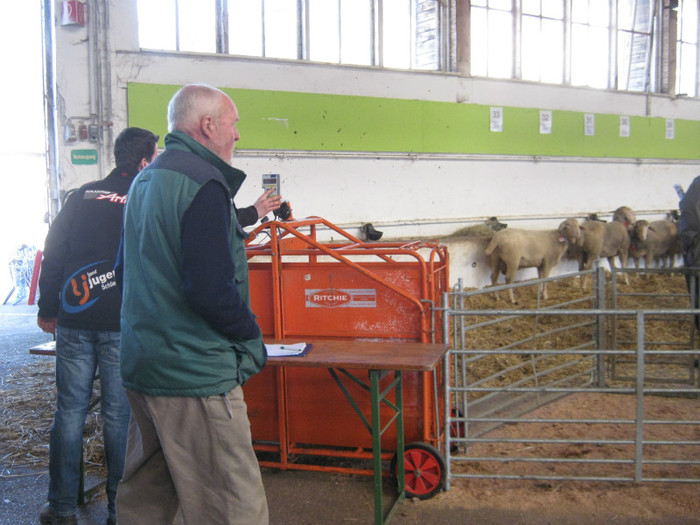 cantarul pt-greutate