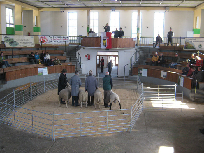 93- 046 - licitatie oi-Wels-excursie -Cehia