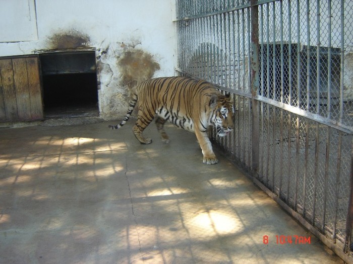 7 - zoo Oradea