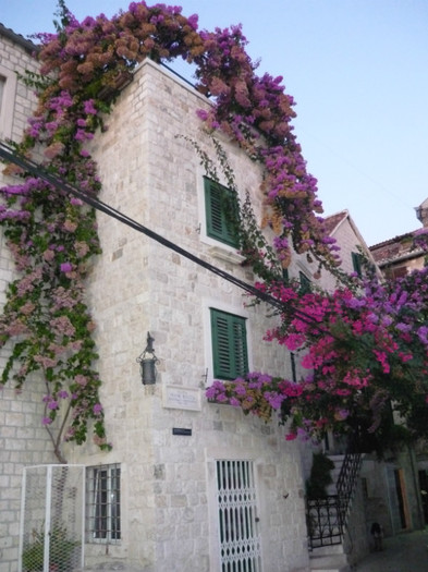 split 142 - split