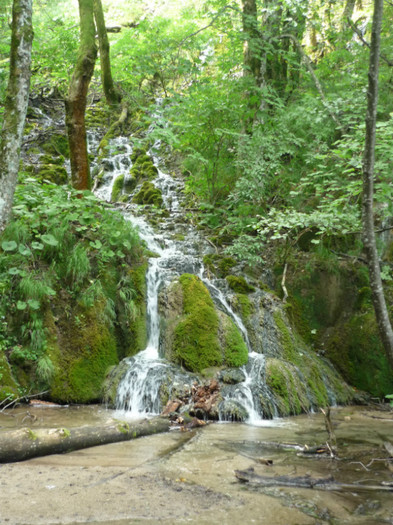 plitvice 030 - plitvice