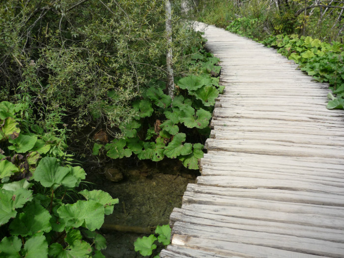 plitvice 077
