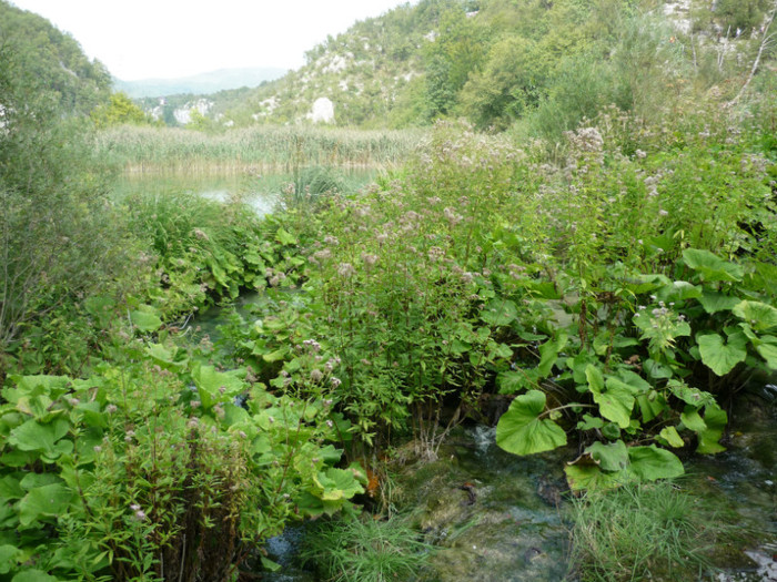 plitvice 123
