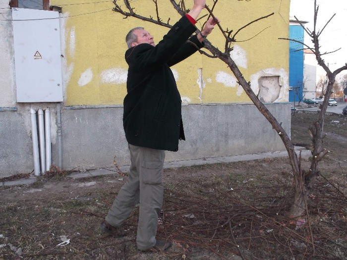 ..........SI PE SUS - LUCRARI DE PRIMAVARA