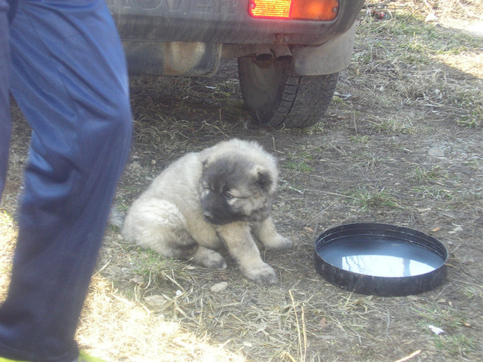 Copy (10) of Picture 227