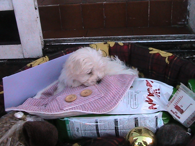 IN FATA NOII EI CASA