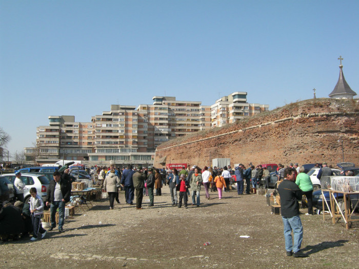 IMG_0304 - targ asociatia nufarul Oradea martie 2012