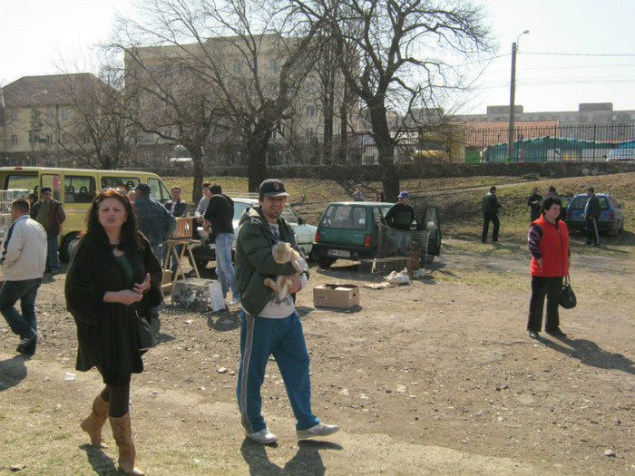 IMG_0308 - targ asociatia nufarul Oradea martie 2012