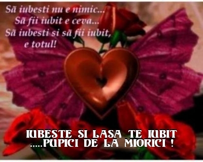 4955a5c01cc135a5be68c10fcb74cfda - BUNA DIMINEATA SI NOAPTE BUNA CU DEDICATIE 1