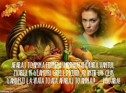  - 10  TOAMNA