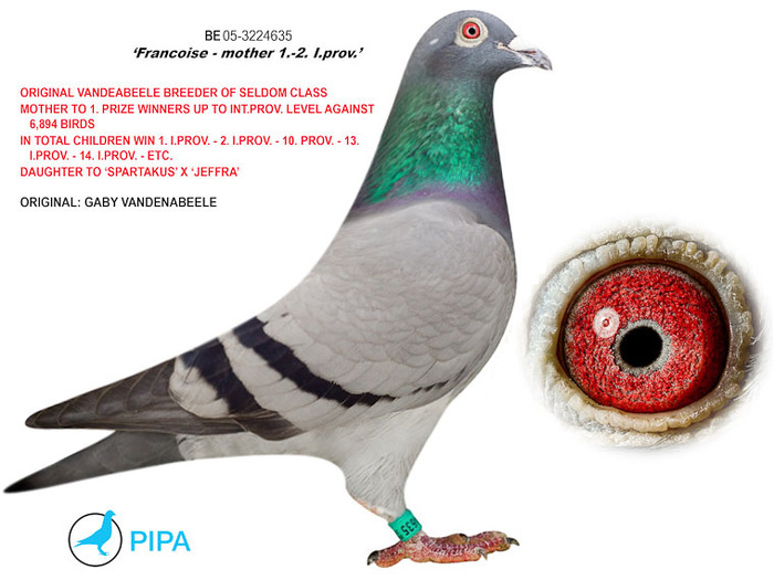 BE05-3224635 mama lu 005