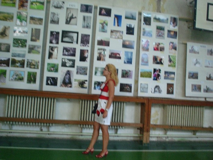 x. Expoziţie` de` fotoografie`...