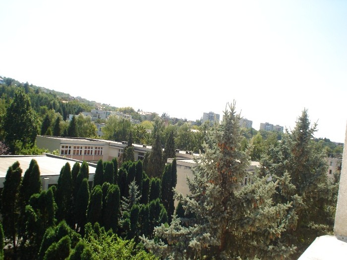 x. Târgu` Mureş`...