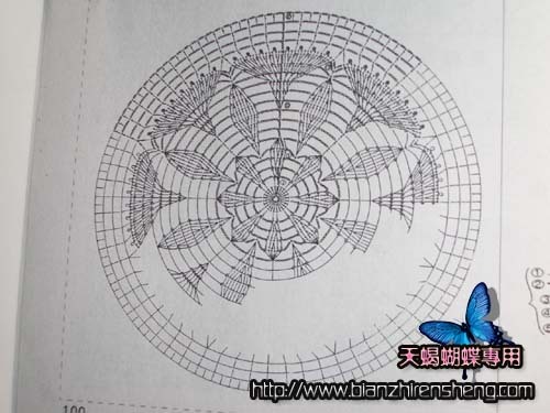 blusa ml branca gráfico