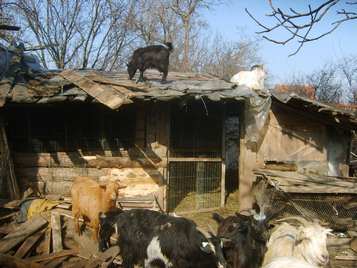 Mama si fata; Se spune ca inteligenta se transmite de la mama.Aici e dovada :)
