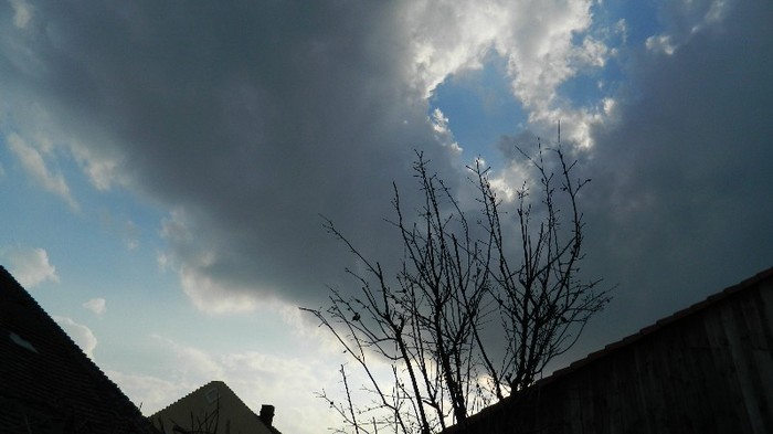 DSCN0009