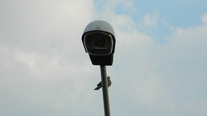 DSCN0010