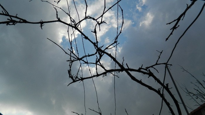 DSCN0013