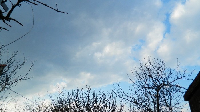 DSCN0020