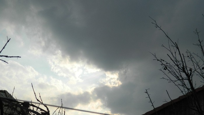DSCN0021