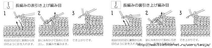 79535070_large_1288371196_ims2