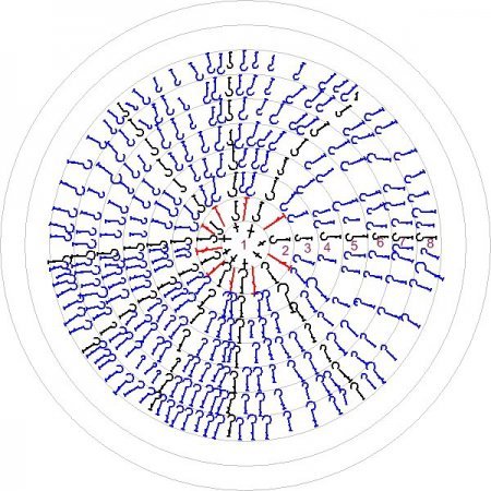 79535076_large_1295941538_221