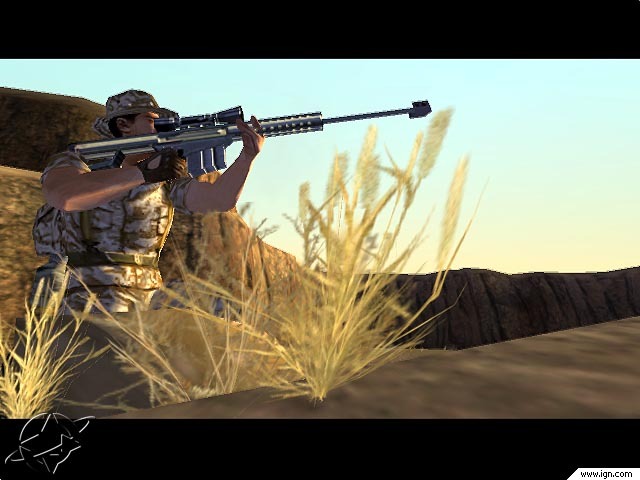 Conflict Desert Storm 1