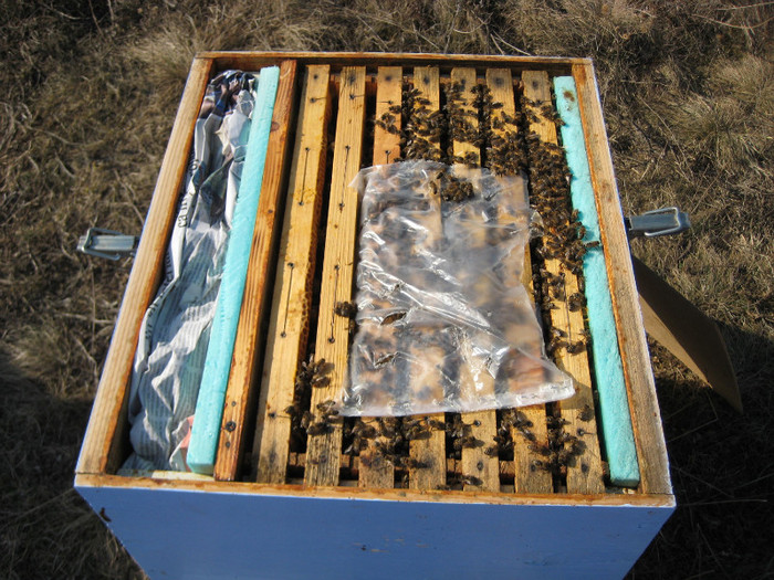 IMG_0031 - Prisaca in 2012