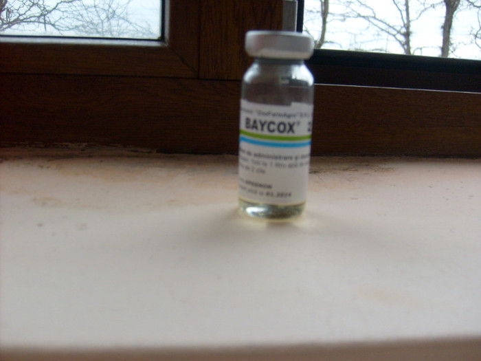 Baycox 2,5 - Medicamente iepuri