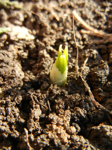 2012, March 17