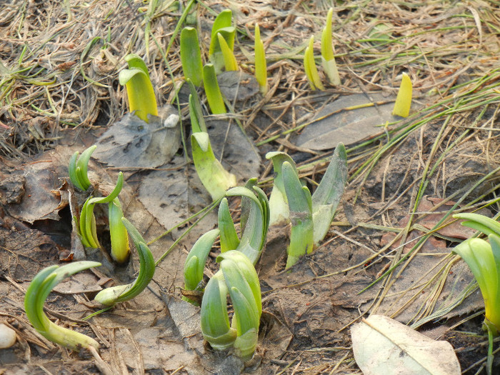 2012, March 17