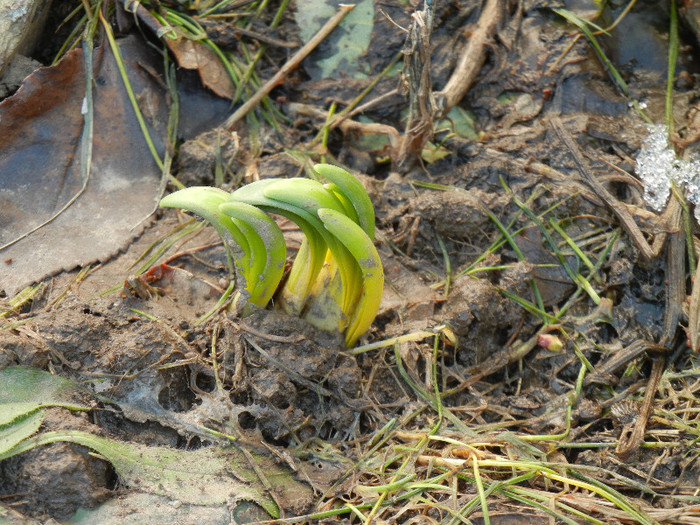 2012, March 17