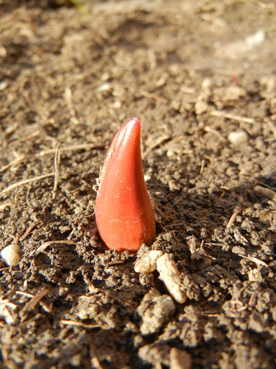 2012, March 17