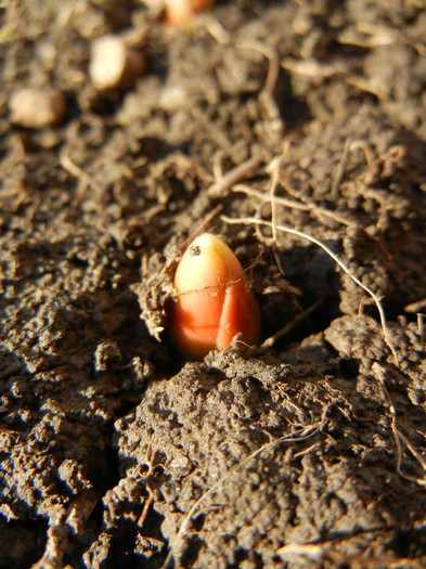 2012, March 17