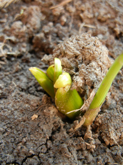 2012, March 18