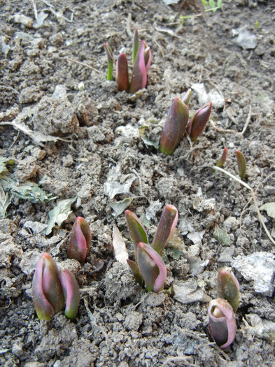 2012, March 18 2012, March 18