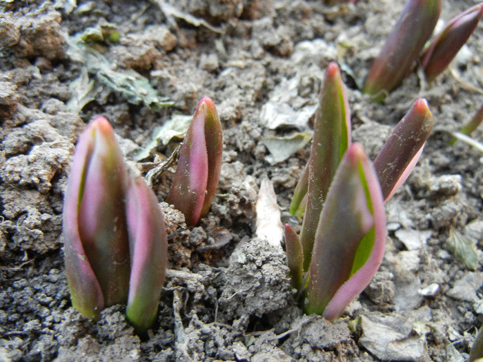 2012, March 18 2012, March 18