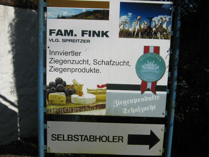ferma fink -Utendorf - crescatori de capre -austria ziege farm