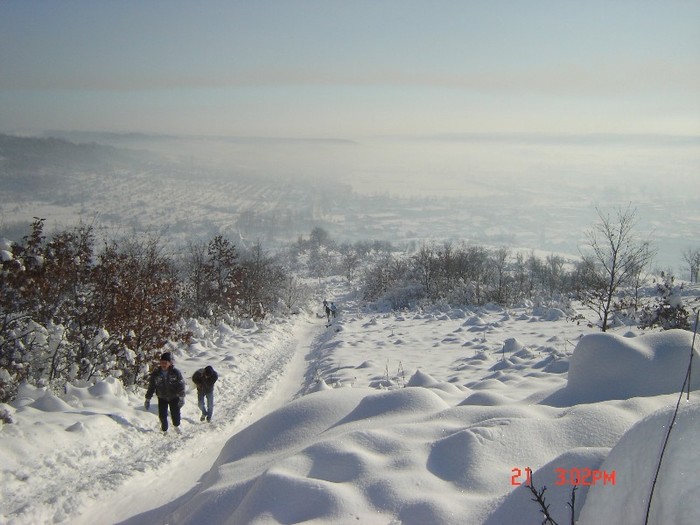 8 - peisaje de iarna