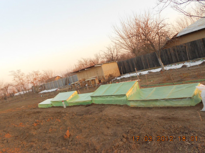 DSCN1377