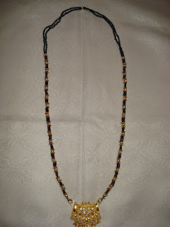 DSC03596 - proba2-america