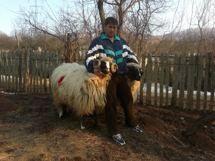 18032012652 - OILE LU OVIDIU