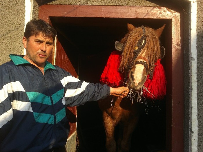 18032012622 - OILE LU OVIDIU