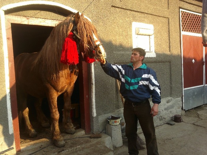 18032012624 - OILE LU OVIDIU