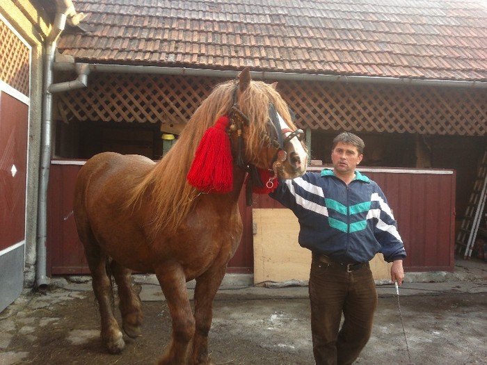 18032012626 - OILE LU OVIDIU