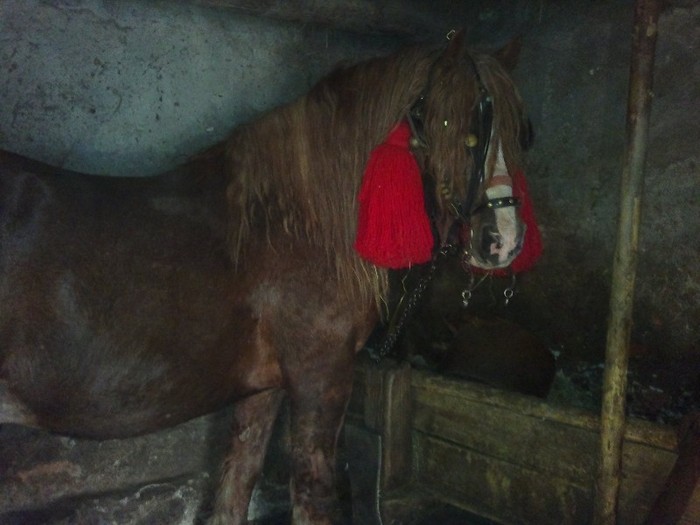 18032012633 - OILE LU OVIDIU